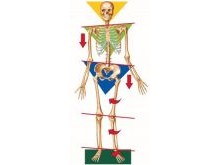 Structural Imbalances and Rotations