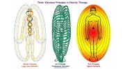 Polarity Therapy